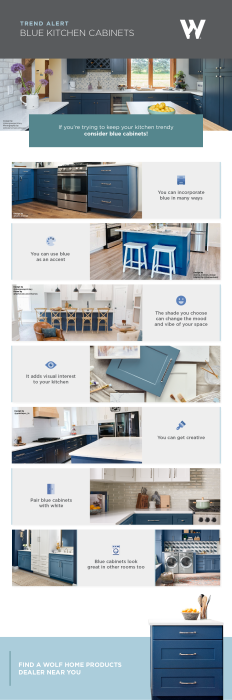 Blue Kitchen Cabinets Trend | Wolf Home Products